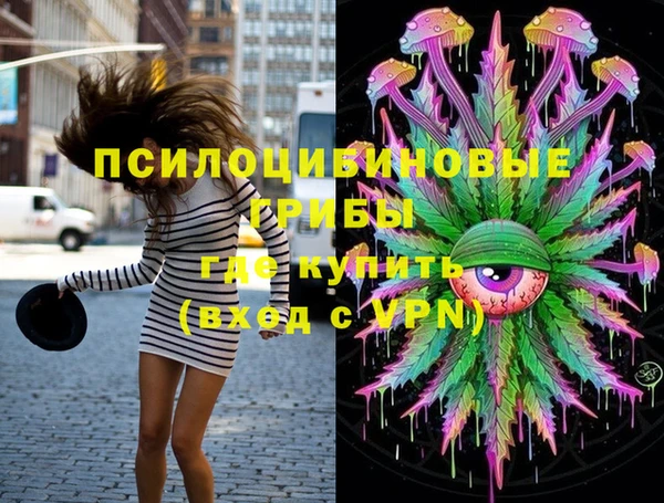 сатива Алзамай