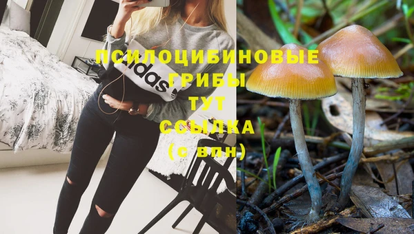 эйфоретик Абдулино