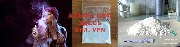 сатива Алзамай