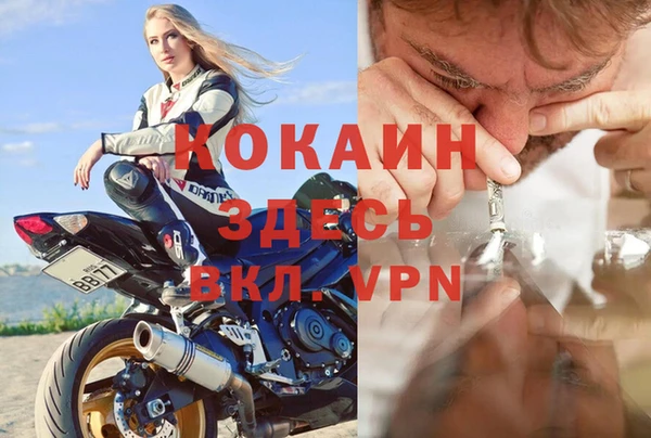 сатива Алзамай