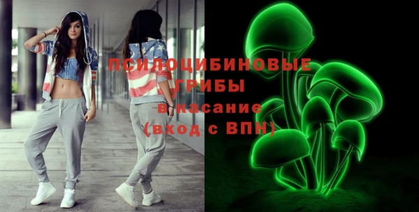 сатива Алзамай
