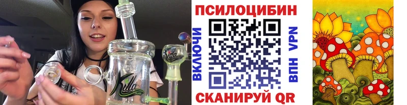 Псилоцибиновые грибы мухоморы Мещовск