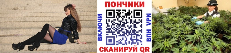 Бошки марихуана VHQ Мещовск
